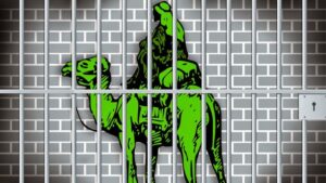 Silk Road Dealer Plead Guilty For Selling Illegal Drugs for Bitcoins